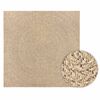 vidaXL Rug Beige Polypropylene Large UV-resistant materials Rug