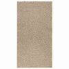 vidaXL Rug Beige 100% Polypropylene 31.5 x 59.1 in Durable Rug