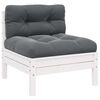 vidaXL 2-seater Garden Sofa Set of 2 White, Anthracite