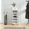 vidaXL Shoe Cabinet White Engineered Wood, Iron, Aluminum Compact