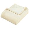 vidaXL Blanket Cream 100% Polyester 59.1 x 78.7 in Sturdy Blanket