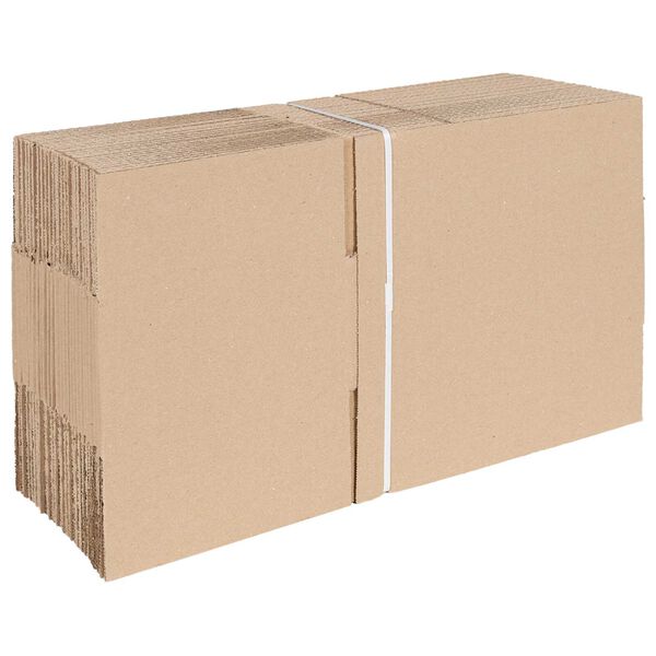 vidaXL Folding Box 50 pcs Natural 9.84 x 6.89 x 3.94 in Cardboard