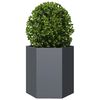 vidaXL Garden Planter Anthracite Steel Medium Tough Garden Planter