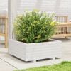 vidaXL Garden Planter White Solid Pine Wood 24 in Decorative Inlays