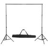 vidaXL Backdrop Support System 10 x 10 ft Black