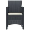 vidaXL Garden Chair 2 pcs Anthracite 20.87 x 19.29 x 33.46 in