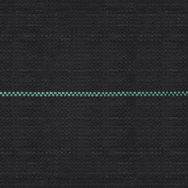 vidaXL Weed Membrane Black Polypropylene 2x100 meters
