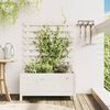 vidaXL Patio Planter with Rack White 31.1x15.6x44.9" Solid Wood Pine