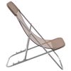 vidaXL Beach Chair Brown Powder-coated steel, textilene Standard