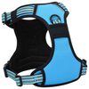 vidaXL Dog Harness Blue Polyester L Dog Harness Other Modern