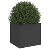 vidaXL Planter Black Cold-rolled steel Small Decorative Inlays Planter