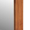 vidaXL Wall Mirror Honey Glass, Solid Acacia Wood Medium Mirror
