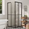 vidaXL Shower Cabin ESG 31.5"x31.5"x70.9"