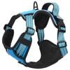 vidaXL Dog Harness Blue Polyester Large Adjustable Armrests