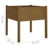 vidaXL Garden Planter Set of 2 Honey Brown Solid Pinewood Large