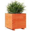 vidaXL Garden Planter Wax Brown Solid pinewood 19.7x19.7x19.5 in