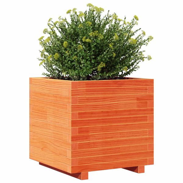 vidaXL Garden Planter Wax Brown Solid pinewood 19.7x19.7x19.5 in