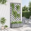 vidaXL Planter Grey Solid fir wood Large Planters Planter