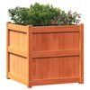 vidaXL Garden Planter Set of 2 Wax Brown Solid Pine Wood
