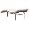 vidaXL Sun Lounger Beige PE rattan Standard Modern Sun Lounger