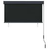 vidaXL Outdoor Roller Blind 47.2"x98.4" Anthracite