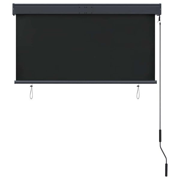 vidaXL Outdoor Roller Blind 47.2"x98.4" Anthracite