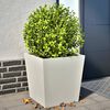 vidaXL Garden Planter Set of 2 White Cold-rolled Steel Large Durable