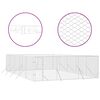 vidaXL Outdoor Dog Kennel Silver Heavy Duty Galvanized Steel