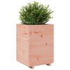 vidaXL Garden Planter Natural Douglas wood Solid Douglas wood