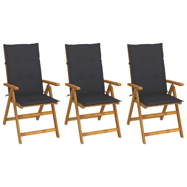 vidaXL Garden Chair Set of 3 Anthracite Solid Acacia wood Standard