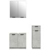 vidaXL Bathroom Furniture Set Concrete Gray Engineered Wood, Glass Large