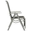 vidaXL Garden Chair Set of 2 Black and Silver Powder-coated aluminum