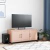vidaXL TV Cabinet Pink Cold-rolled Steel Medium Storage TV Cabinet