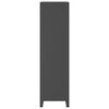 vidaXL Wardrobe Anthracite Metal 35.4x19.7x70.9 in Wardrobe
