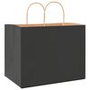 vidaXL Paper Bags 250 pcs with Handles Black 32x22x24 cm