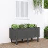vidaXL Garden Raised Bed Grey Solid Pine Wood Medium Decorative Inlays