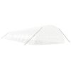 vidaXL Greenhouse White Polyethylene and galvanized steel Large
