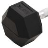vidaXL Dumbbell 49.6 lb Cast Iron