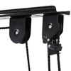 vidaXL Bike Hoists with Ceiling Mount 2 pcs 44.1 lb