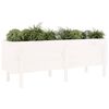 vidaXL Garden Raised Bed White Solid Pine Wood Large Planters