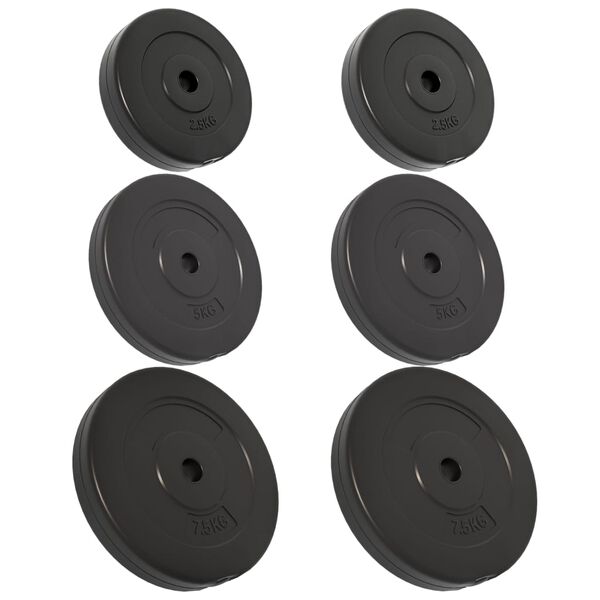 vidaXL Weight Plates 6 pcs 66.1 lb Cement
