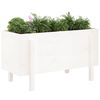 vidaXL Garden Raised Bed White Solid Pine Wood 39.8 x 19.7 x 22.4 in
