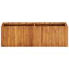 vidaXL Raised Bed Natural wood color Solid acacia wood 59.1x11.8x19.7 in