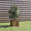 vidaXL Planter Honey brown Solid pinewood 12.2 in Decorative Inlays