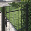 vidaXL Fence Gate Single Door with Spike Top Steel 3.3'x4.9' Black