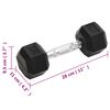vidaXL Dumbbells 2 pcs 22.0 lb Total Cast Iron