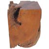 vidaXL Stool Brown Solid teak wood Medium-sized Statement Piece Stool