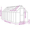 vidaXL Greenhouse Anthracite and clear Aluminum, polycarbonate Large