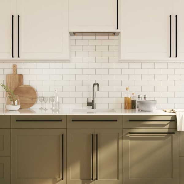 vidaXL Cabinet Handle Set of 10 Black Stainless Steel Standard Durable