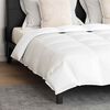 vidaXL Duvet Set with Pillow 3 pcs White Down Feather
